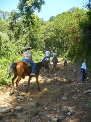 Cabalgando en grupo.jpg